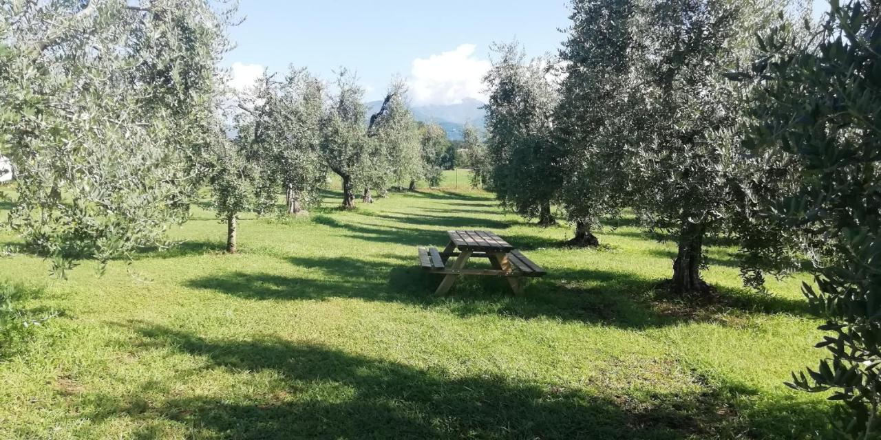 Agriturismo Fioralba Polpenazze del Garda Kültér fotó
