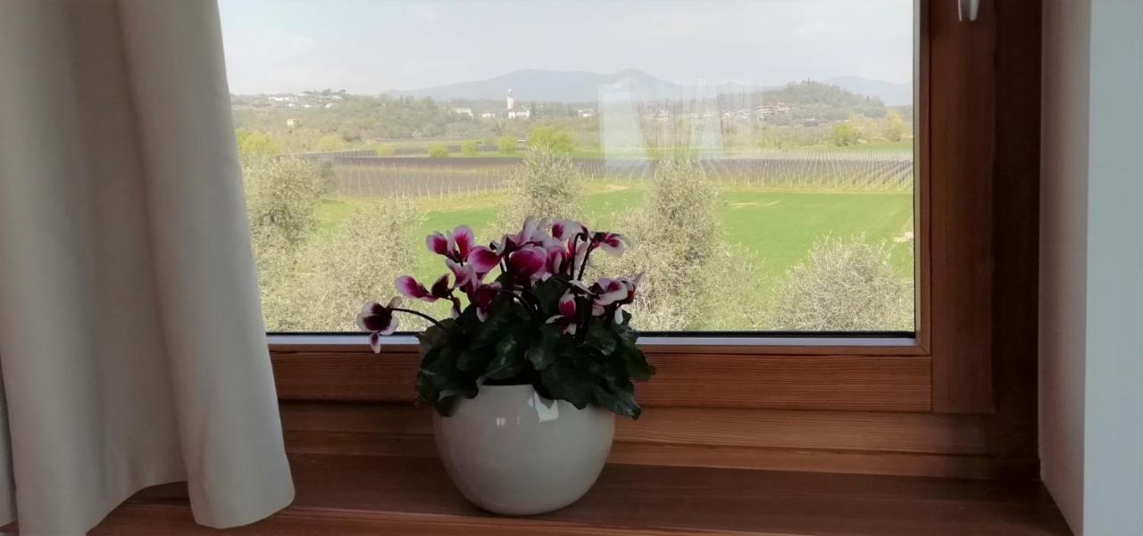 Agriturismo Fioralba Polpenazze del Garda Kültér fotó