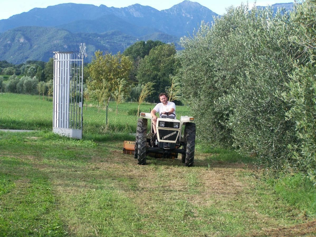 Agriturismo Fioralba Polpenazze del Garda Kültér fotó