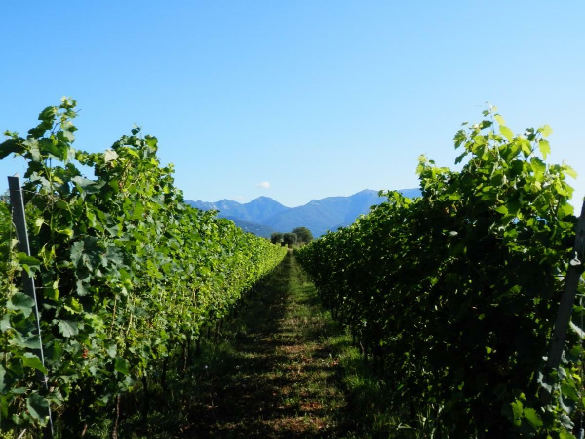Agriturismo Fioralba Polpenazze del Garda Kültér fotó