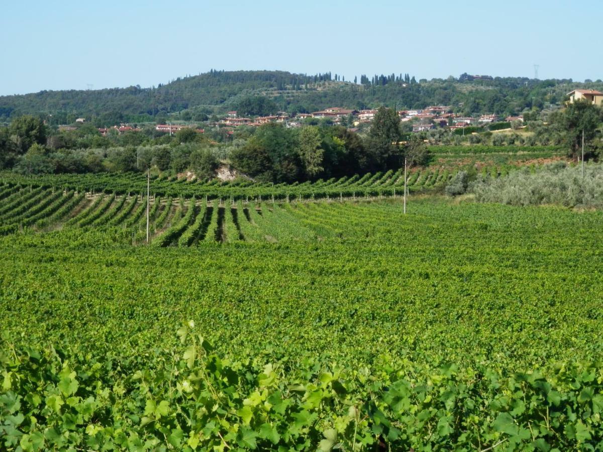Agriturismo Fioralba Polpenazze del Garda Kültér fotó