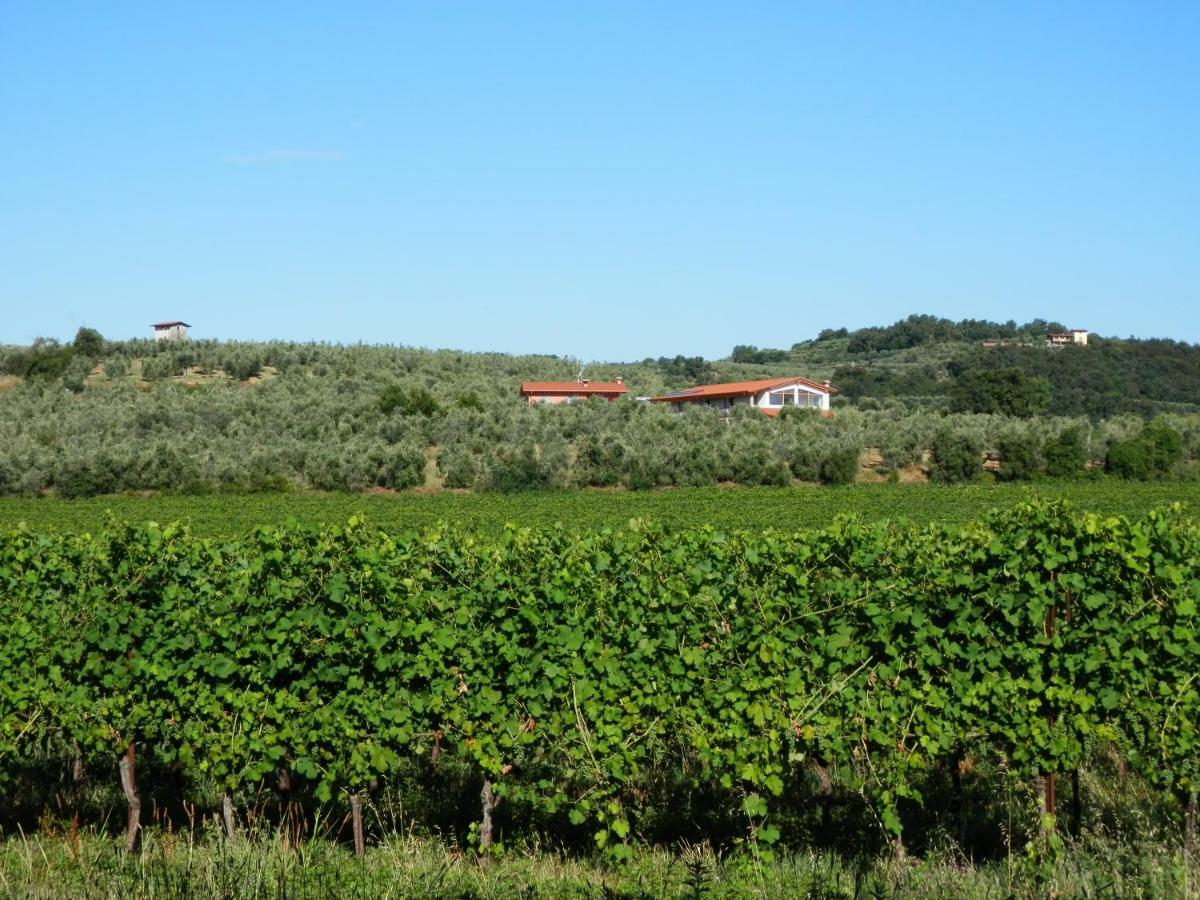 Agriturismo Fioralba Polpenazze del Garda Kültér fotó