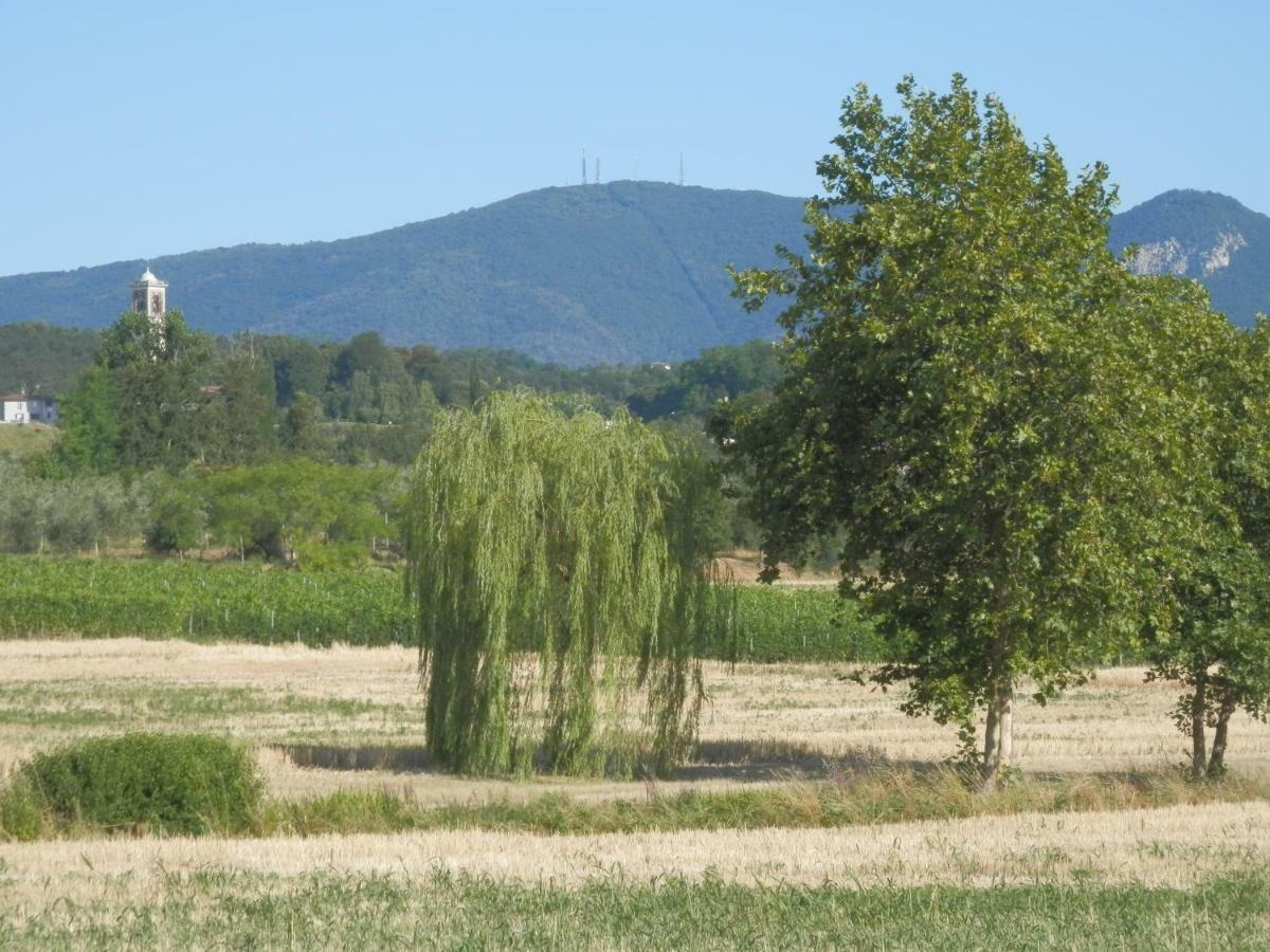Agriturismo Fioralba Polpenazze del Garda Kültér fotó